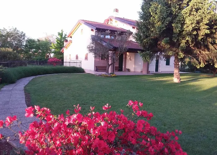 “Al Campo”