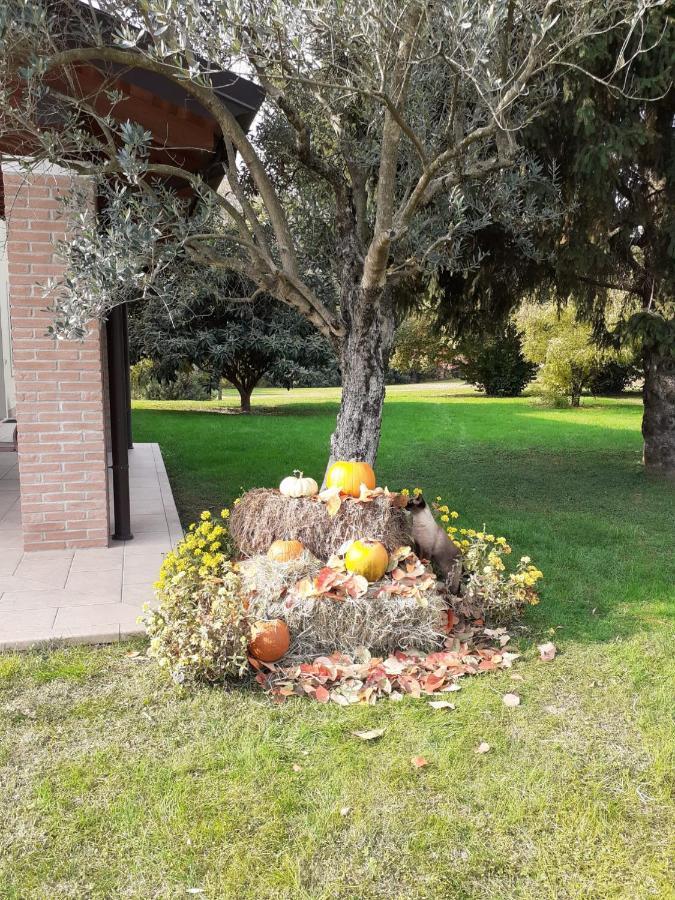 Guest house “al Campo”