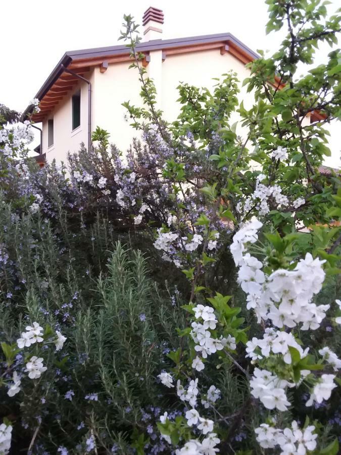 Guest house “al Campo” *