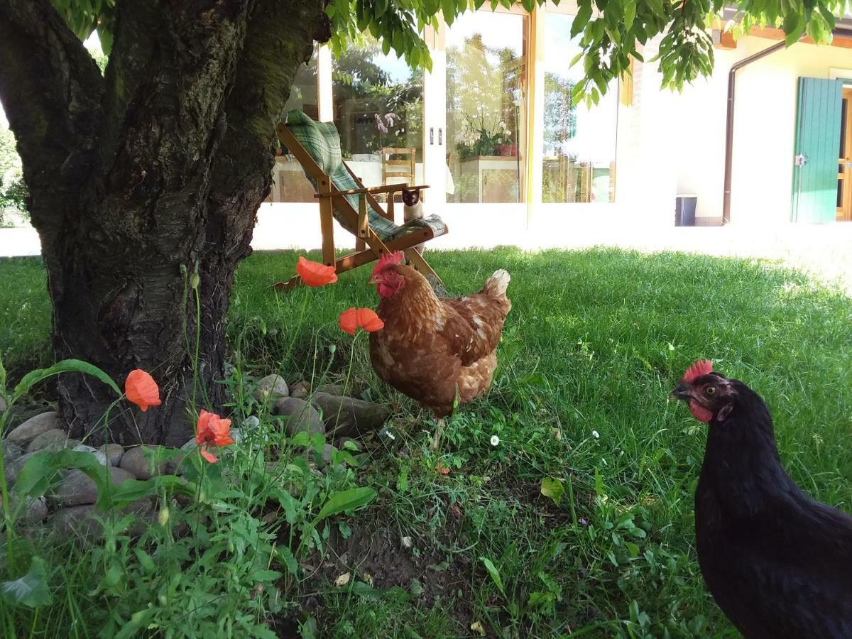 Guest house “al Campo” *