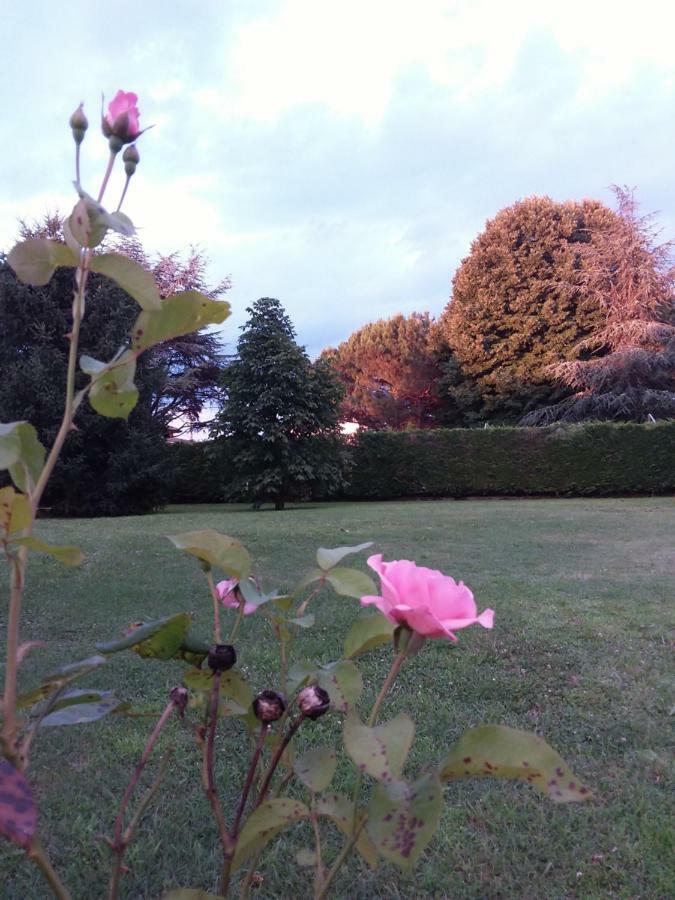 “al Campo” Guest house Verona