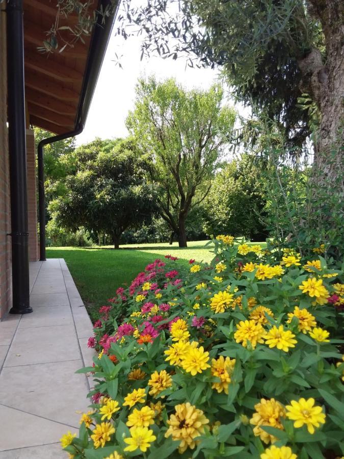Guest house “al Campo” *
